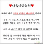 빅터스묵은군생 336 다육식물