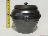 8(조은다육) 생활자기