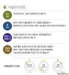 해피트리 happy tree 관엽식물 중대품