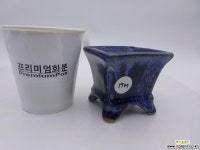 사각분(반값할인) 1947 다육화분