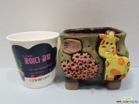 꽃이다공방 수제화분 꽃과기린 #2249 다육화분