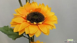 해바라기부쉬 1 키1미터 인테리어소품