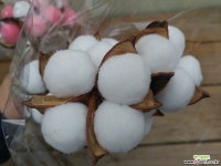 솜사탕 목화 인테리어소품