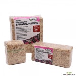 천연수태 풍란 토피어리 물수태 수태 고급수태 물이끼 원예자재 기타