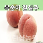 복숭아묘목 복숭아나무 결실주R3~4 묘목