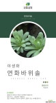 연화바위솔 / 야생화 /  주말농장 /  정원용 / 조경용 / 정원 야생화