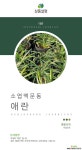 애란 / 5개묶음 / 소엽맥문동 / 허브 /야생화 /  주말농장 /  정원용 / 조경용 / 정원 야생화