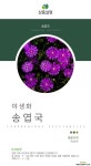 송엽국  / 야생화 / 노지월도 / 주말농장 / 관상용 / 비닐포트 야생화