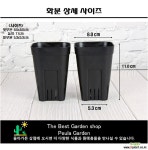 하월시아 슬릿 플라스틱 화분 플라스틱화분