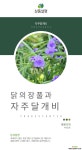 자주달개비 / 야생화 / 주말농장 / 노지월동 / 조경 / 관상용 / 4치포트 야생화