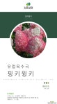 목수국 / 핑키윙키 / 유럽최신품종 / 꽃나무 / 정원꾸미기 목본류