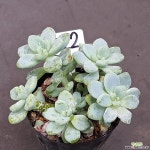 0711-322 천원상품