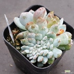 0711-324 천원상품