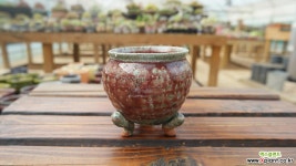 다육화분 0716-112 다육화분