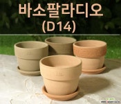 이태리토분 바소팔라디오 14cm 토기화분