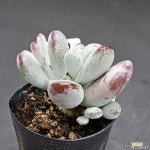 0724-112 천원상품