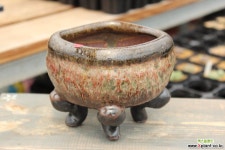 강천-수제화분 63 다육화분