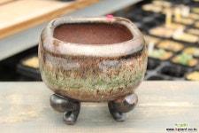 강천-수제화분 64 다육화분