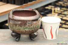 강천-수제화분 64 다육화분