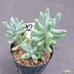 0728-92 천원상품