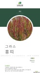 홍띠 / 야생화 /  주말농장 /  정원용 / 조경용 / 정원 / 4치포트  [포장비포함] 야생화