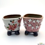 A0068 1개 랜덤 다육화분