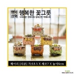 페어리[리본] 다육화분 