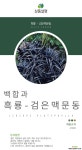 흑룡 / 검은 맥문동 /  야생화 /  주말농장 /  정원용 / 조경용 / 정원 / 4치포트 야생화