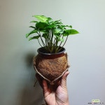 코코다마 걸이화분 자재류 49 걸이화분