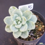 1130-745 천원상품