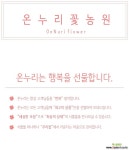 천리향 특가/공기정화식물/반려식물/온누리 꽃농원 공기정화식물