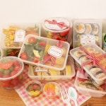 스마트 트래블백(Hidden Cooler) - YES24