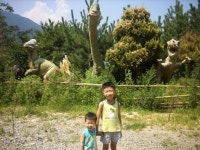 늘소녀 | YES 블로그