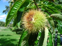 은이후니 | YES 블로그