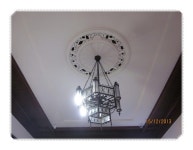 술패랭이 | YES 블로그