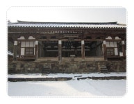 술패랭이 | YES 블로그