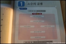 라비올라 | YES 블로그