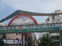 YES 블로그