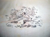 윤단우 | YES 블로그