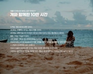 개와 함께한 10만 시간 - YES24