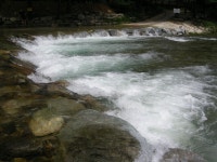 생명은 소중해 | YES 블로그