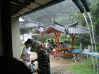 생명은 소중해 | YES 블로그