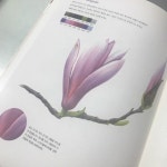 보태니컬 아트 쉽게 하기 : 색연필 컬러링 편 - YES24