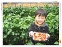 하우애 | YES 블로그