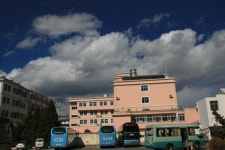 라티노 | YES 블로그