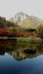 [무진無盡의 세상보기] : 알라딘