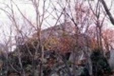 첫 임금 이야기 - YES24