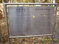 위대한여리 | YES 블로그