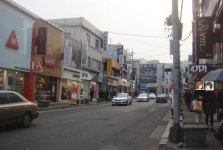 목연 | YES 블로그