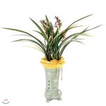  [전국꽃배달] 일월관 - YES24  [전국꽃배달] 일월관